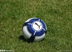 延长赛事停,摆至,强调集体行,一号娱乐,一号娱乐官网,H5一号娱乐官网,一号娱乐官网玩家首选