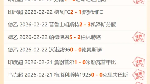 国际足联将彻查萨拉赫激光笔干扰事件
